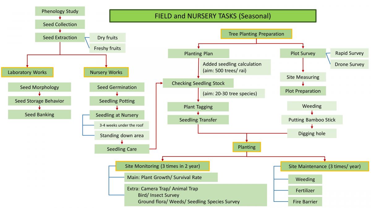 Field and Nursery Tasks