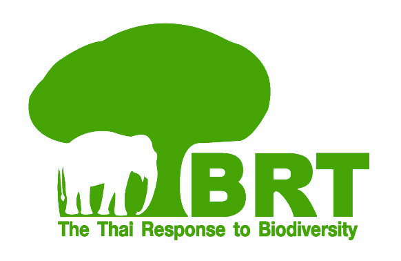 BRT Logo
