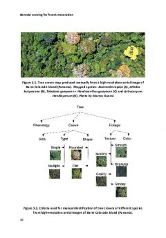Applications of remote sensing for tropical forest restoration: challenges and opportunities omote 