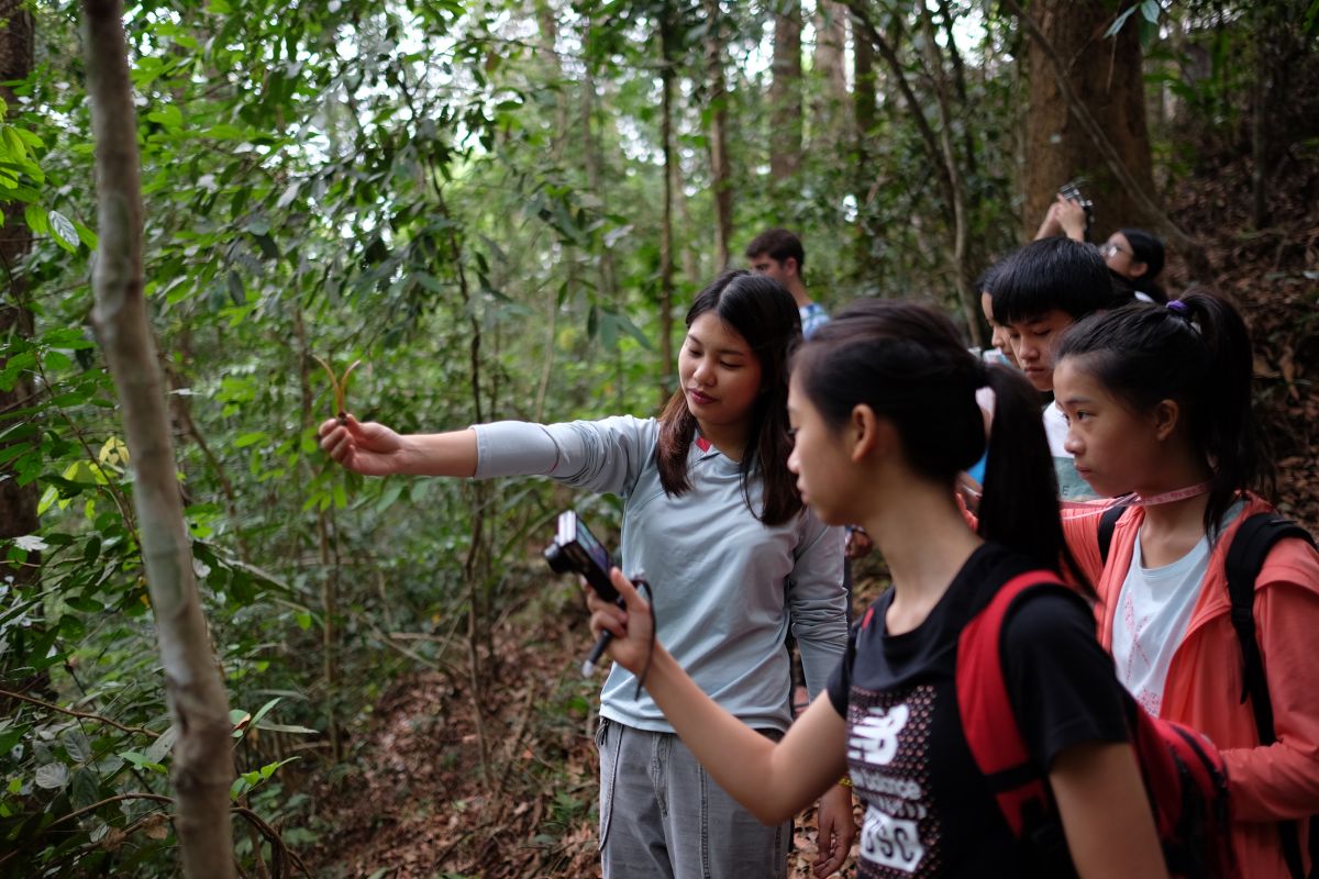 FORRU-CMU Education Officer explains how seeds  of Dipterocarpus costatus are dispersed by wind. 