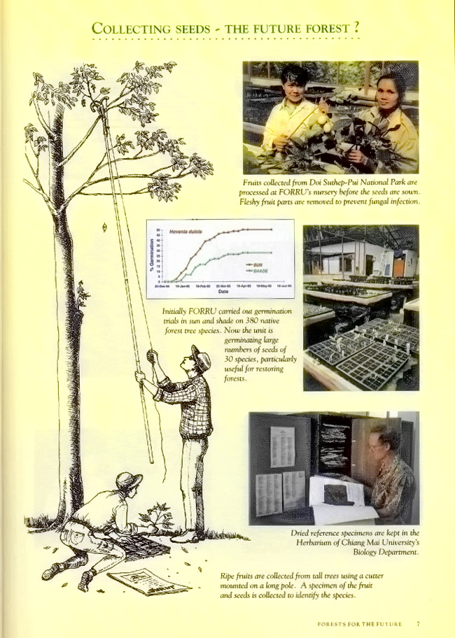Forests for the Future Sample Page