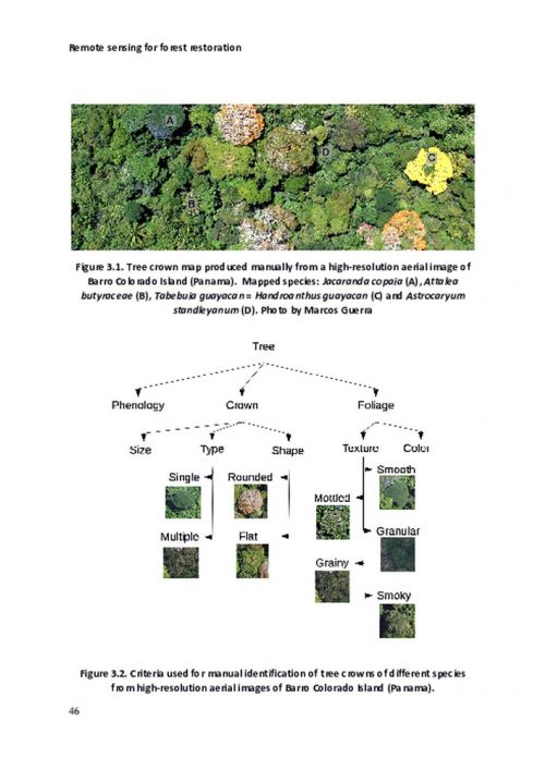 Applications of remote sensing for tropical forest restoration: challenges and opportunities omote 